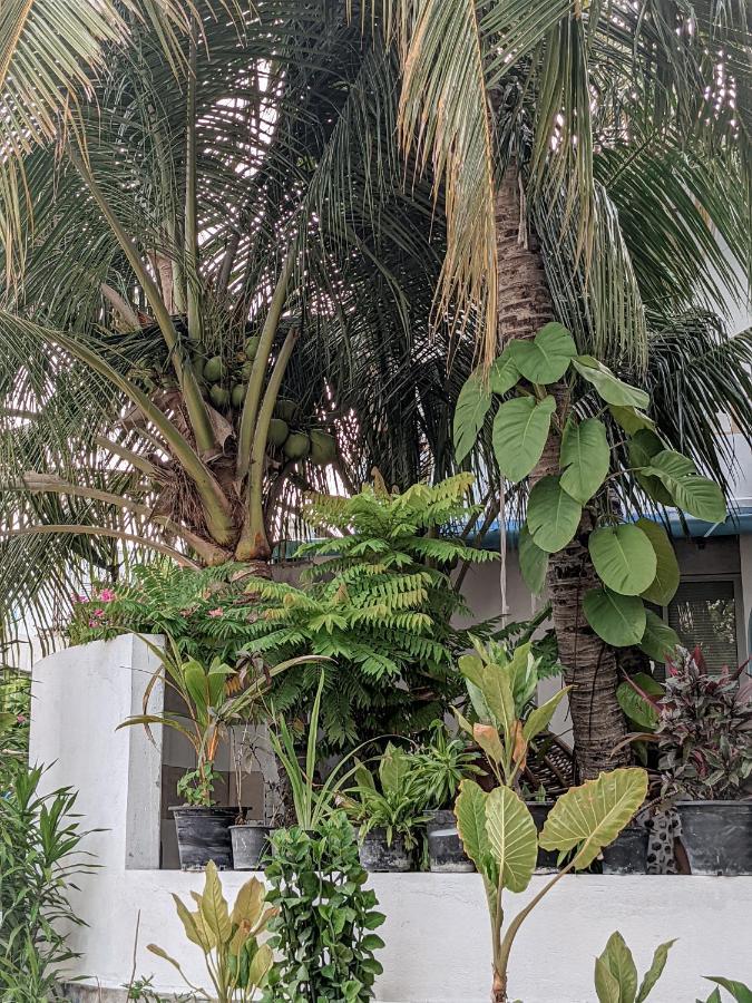 Dhoadhi Retreat Hotel Thulusdhoo ภายนอก รูปภาพ